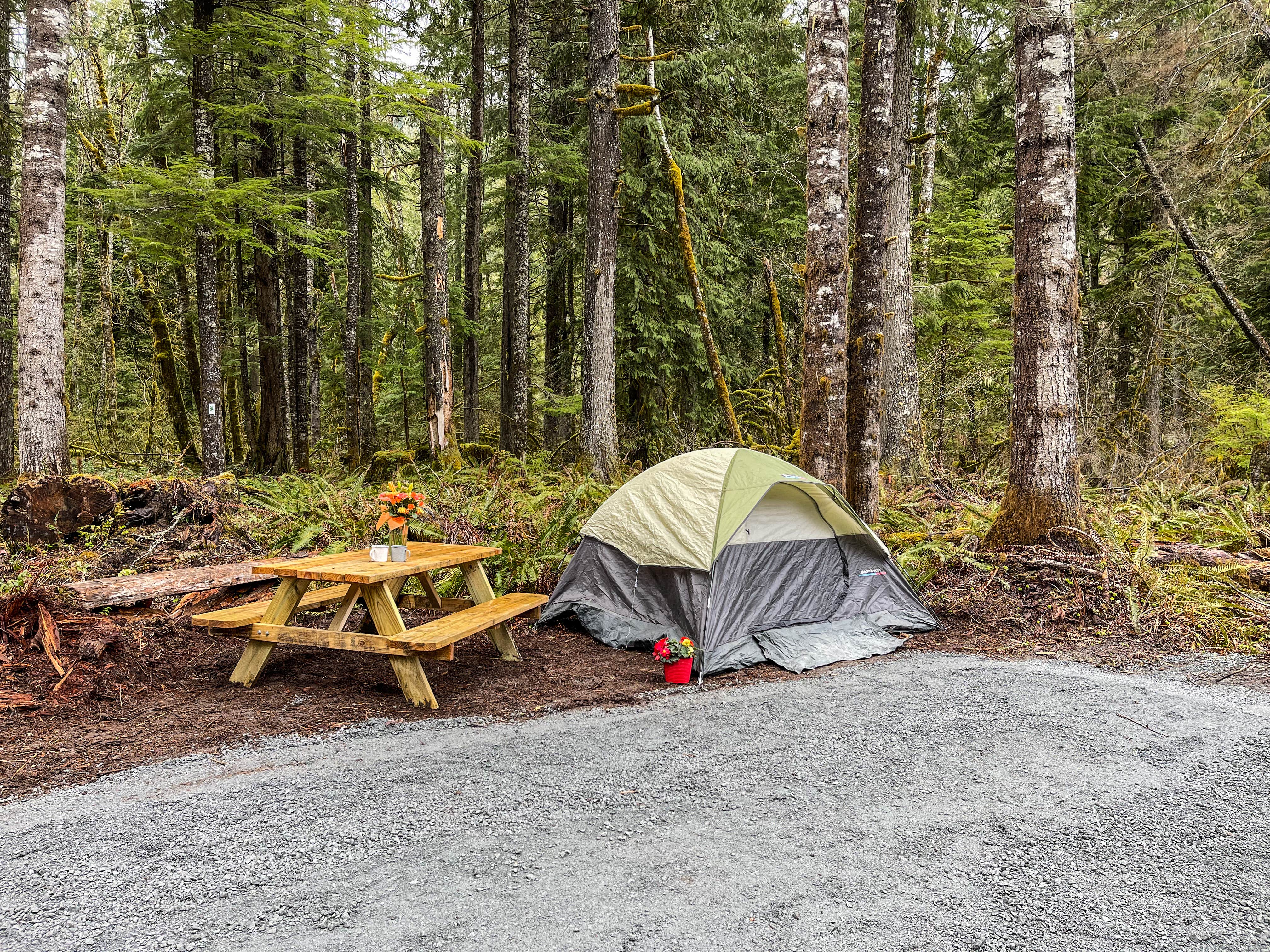 Private tent 2025 camping near me