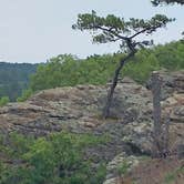 Review photo of Petit Jean State Park — Petit Jean State Park by Kala V., July 13, 2018