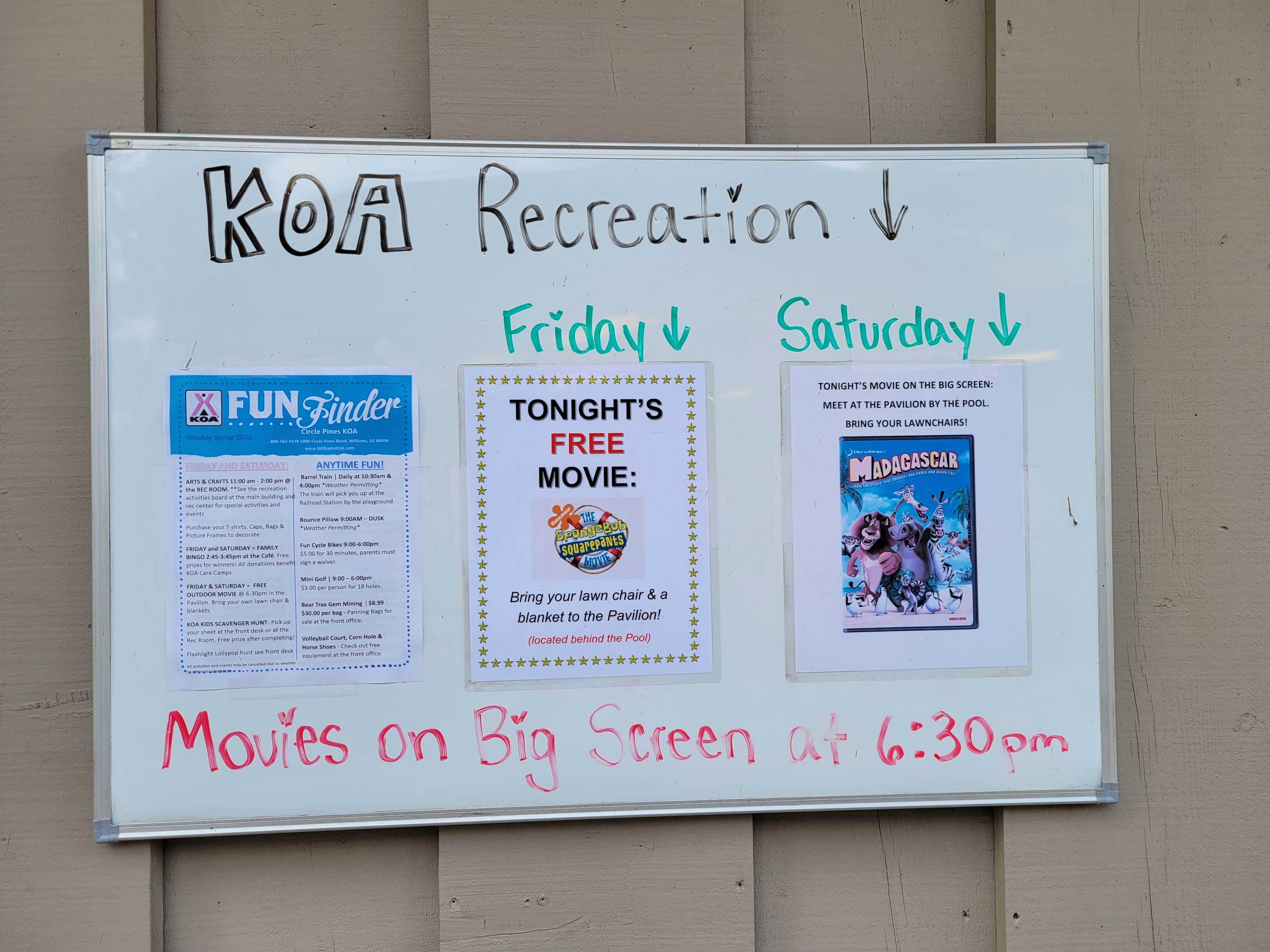 Camper submitted image from Williams-Circle Pines KOA - 5