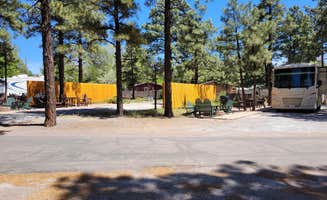 C. W.'s photo at Flagstaff KOA in Arizona