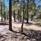 Review photo of Flagstaff KOA by C. W., May 11, 2022