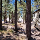 Review photo of Flagstaff KOA by C. W., May 11, 2022