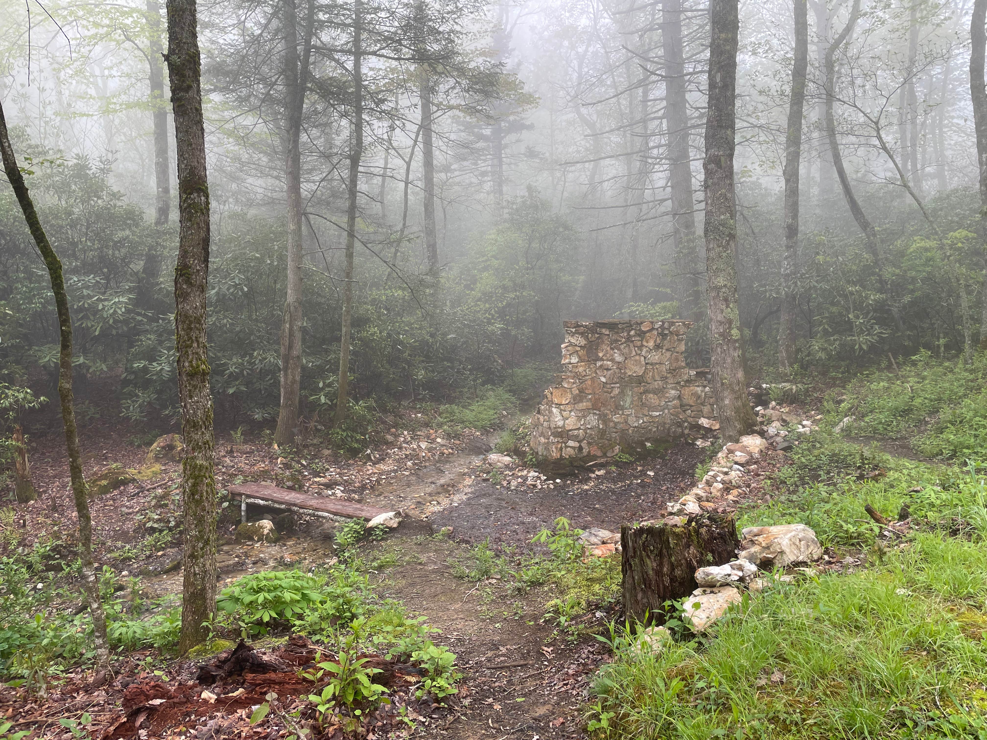 Camper-submitted photo at Victor Road Dispersed near Linville Falls, NC