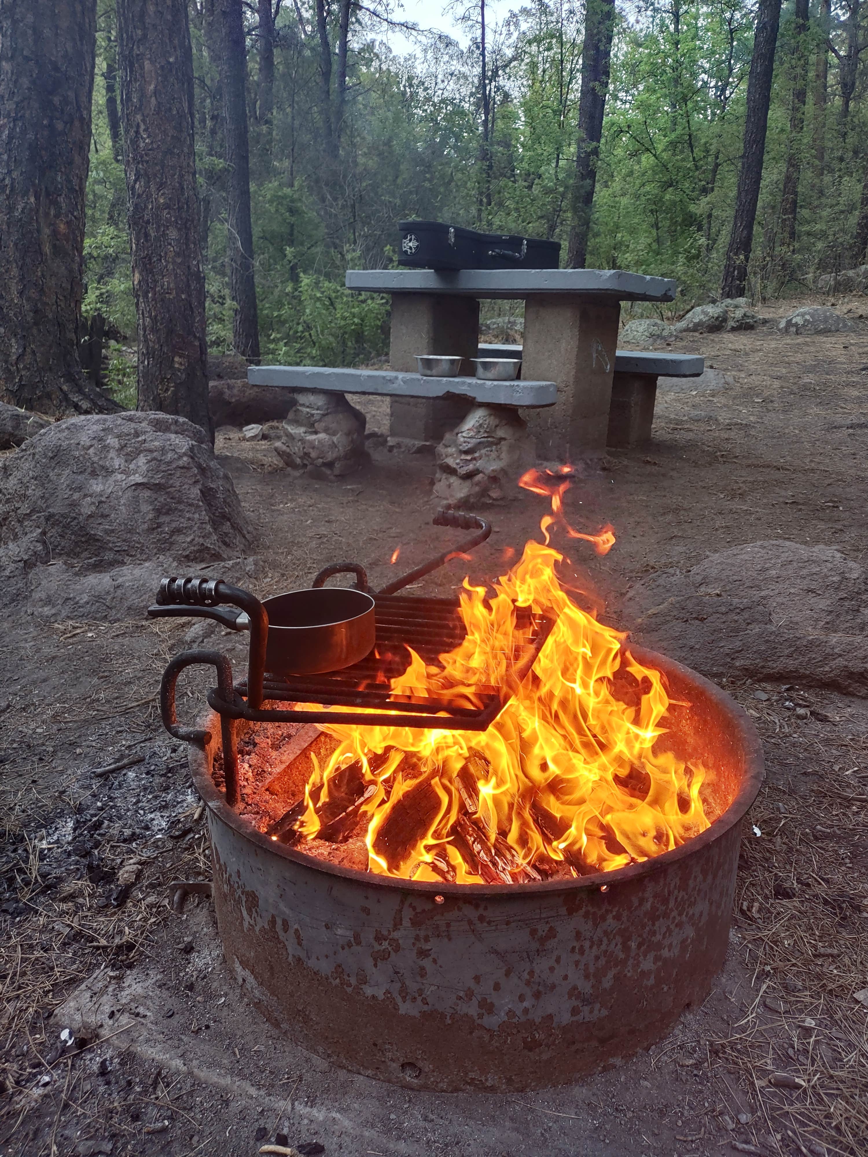 Escape to Montana's Wilderness: Cherry Creek Campground, Your Gateway to Adventure