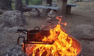 Camping near Buckhorn RV Park: Cherry Creek Campground, Arenas Valley, New Mexico