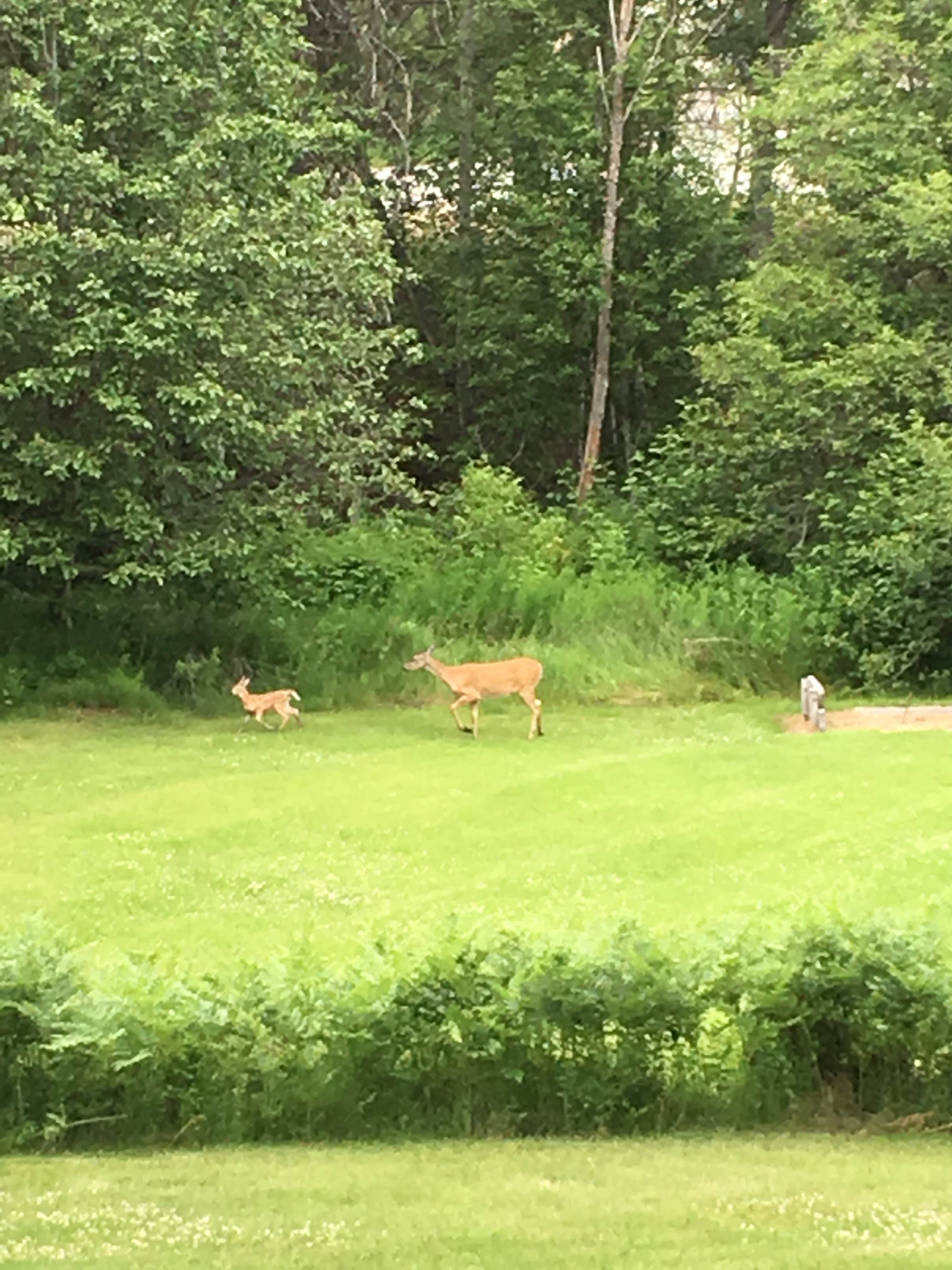 Camper-submitted photo at Birdland Bay RV Resort near Saltese, MT