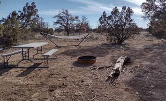 James K.'s photo of camping with pets at Kerouac's Vistas Retreat near Cameron, AZ