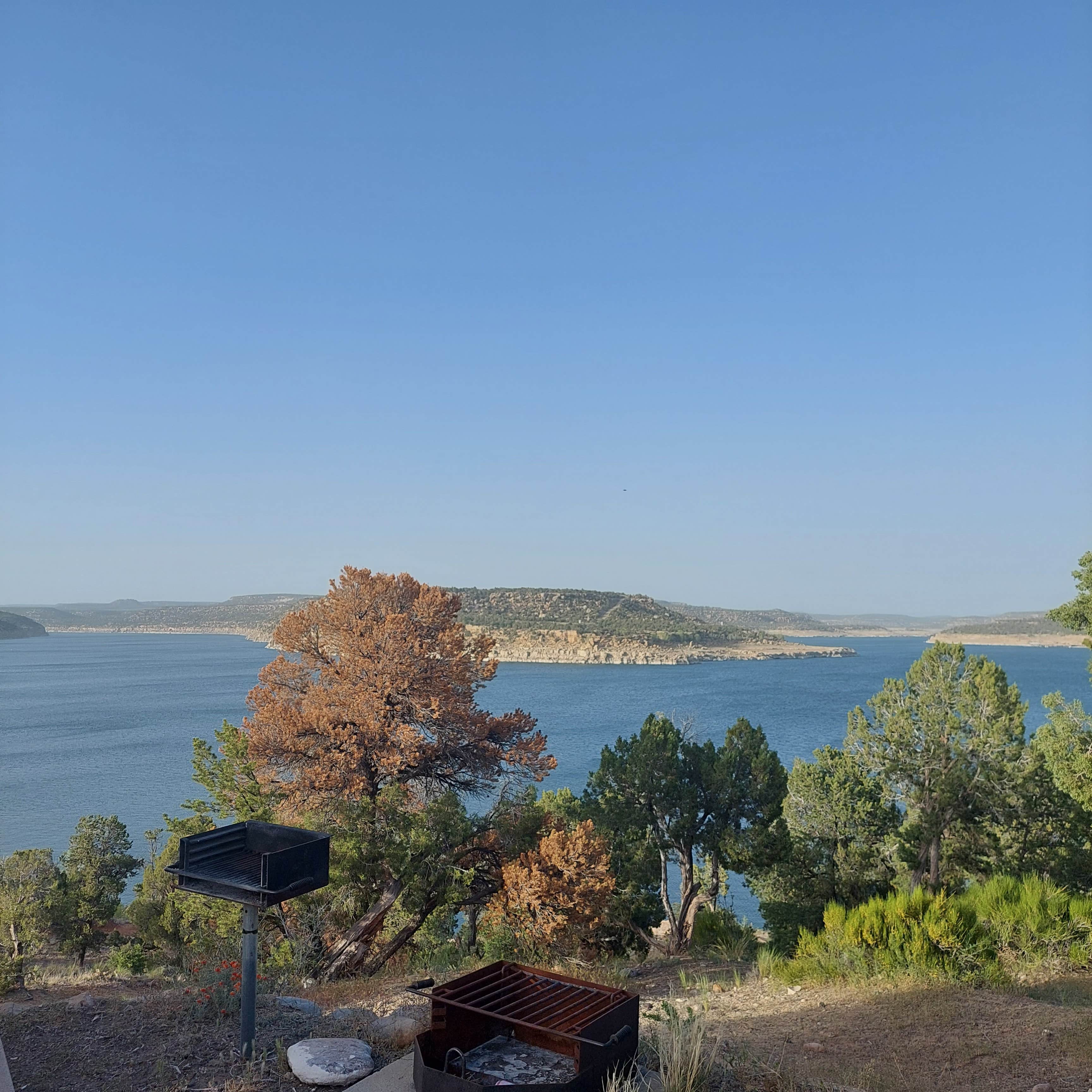 Camper-submitted photo at Pine Main Campground — Navajo Lake State Park near Navajo Dam, NM
