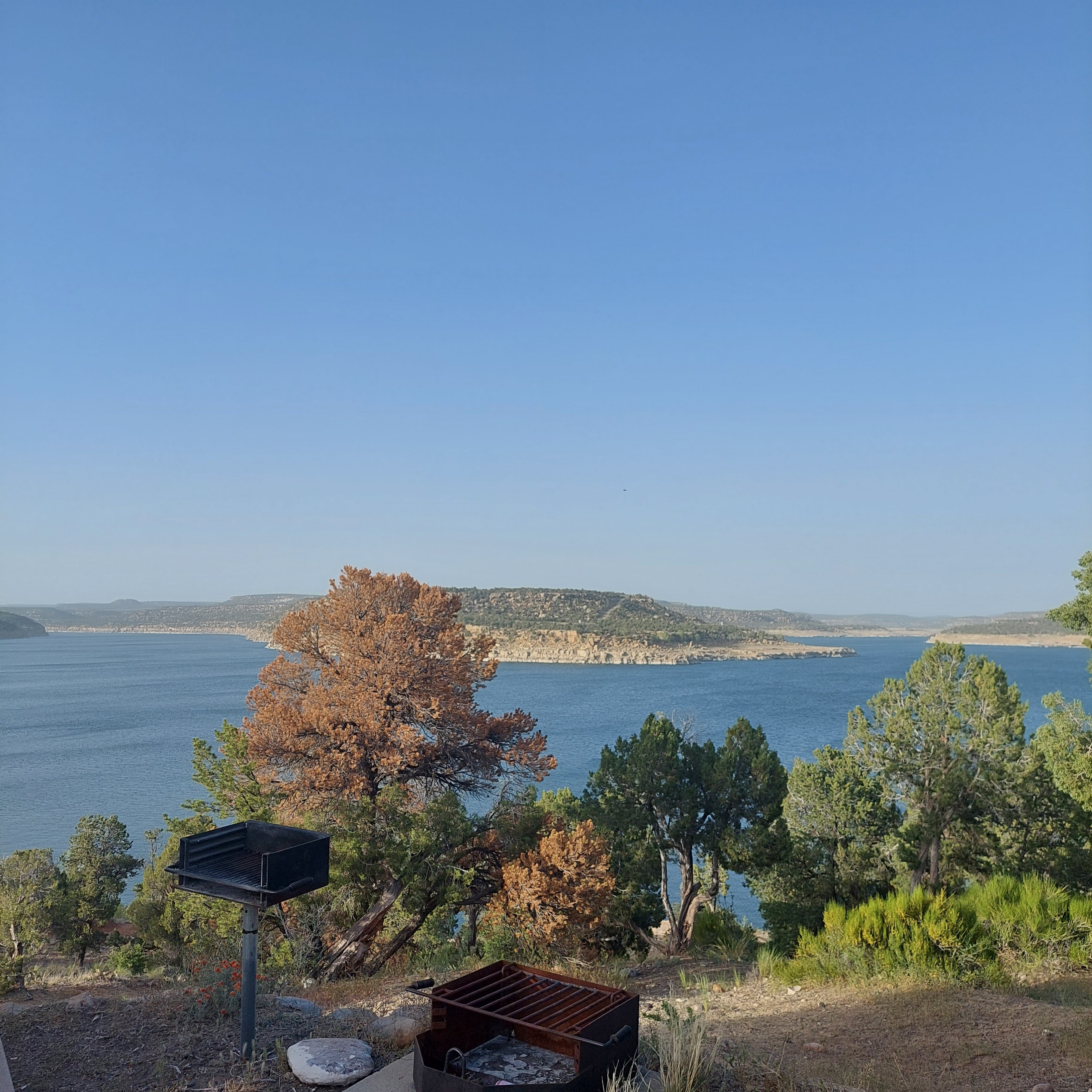 Camper submitted image from Pine Main Campground — Navajo Lake State Park - 5