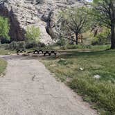 Review photo of Green River Campground — Dinosaur National Monument by Greg L., May 11, 2022