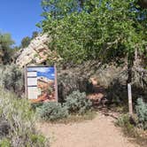 Review photo of Green River Campground — Dinosaur National Monument by Greg L., May 11, 2022