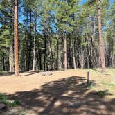 Review photo of Pumphouse Wash (FR 237) Dispersed Camping Area by Sam .., May 11, 2022