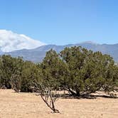 Review photo of Sante Fe National Forest BLM-Road 62 Dispersed by Esperanza  R., May 12, 2022