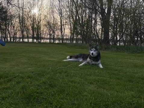 Name's photo of camping with pets at Wellesley Island State Park Campground near Alexandria Bay, NY