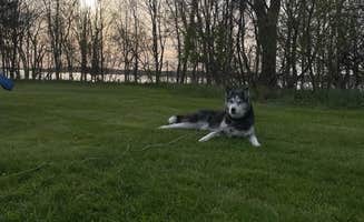 Name's photo of camping with pets at Wellesley Island State Park Campground near Alexandria Bay, NY