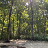 Review photo of Starved Rock Campground — Starved Rock State Park by Gianna M., May 12, 2022