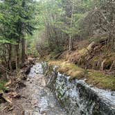 Review photo of Cosby Campground — Great Smoky Mountains National Park by Gianna M., May 12, 2022