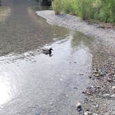 Review photo of Emerald Cave Dispersed — Lake Mead National Recreation Area by Eli S., May 12, 2022