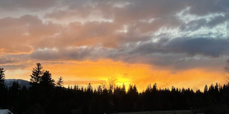 Camper submitted image from Evans Farm - Glamp on the River