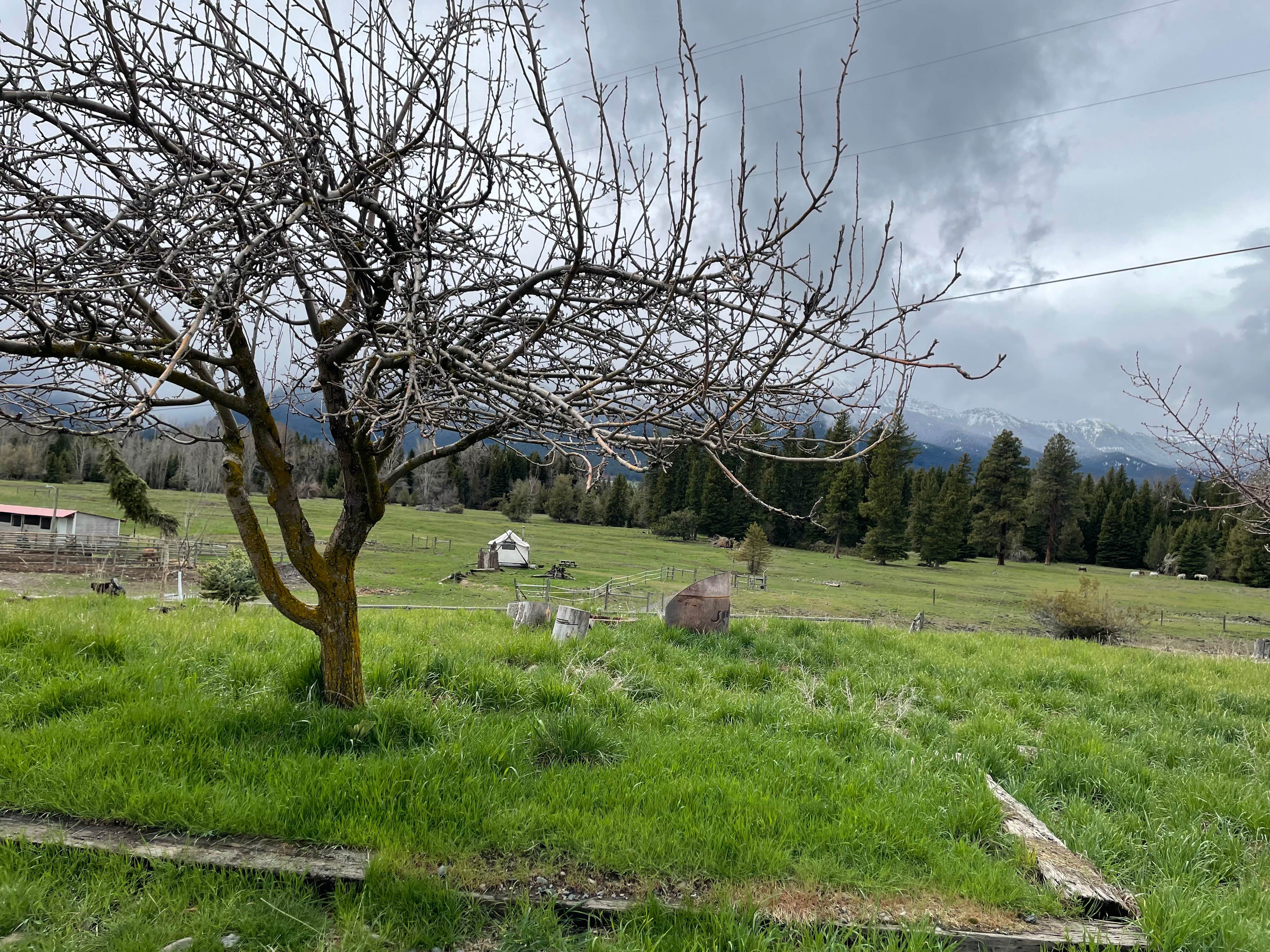 Camper-submitted photo at Evans Farm - Glamp on the River near Oxbow, OR