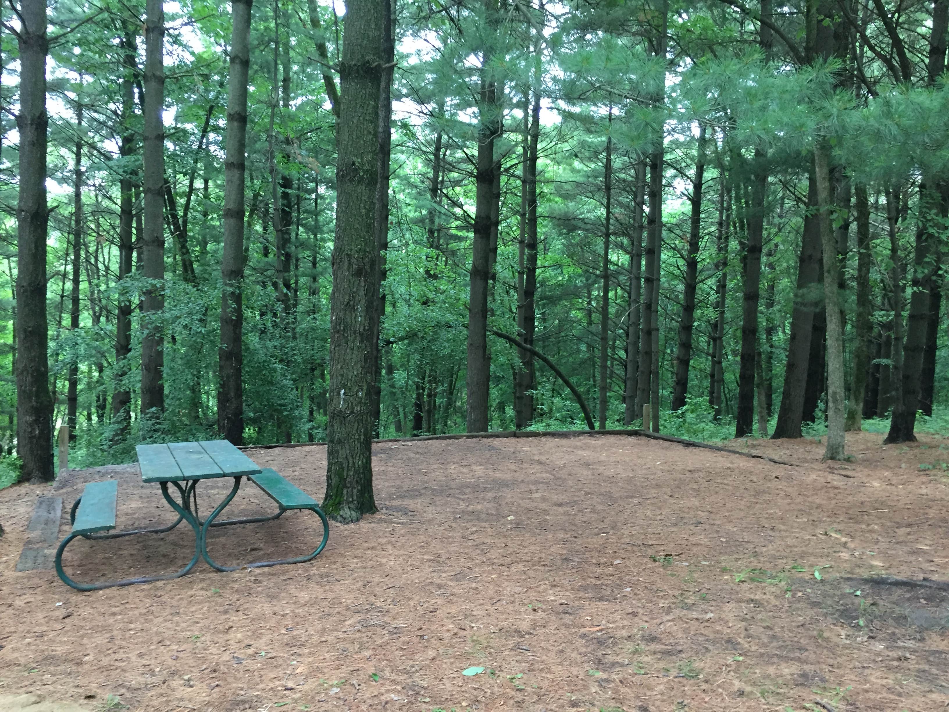 Camper submitted image from Macbride Nature Recreation Area - 3