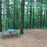Review photo of Macbride Nature Recreation Area by Matthew M., May 12, 2022