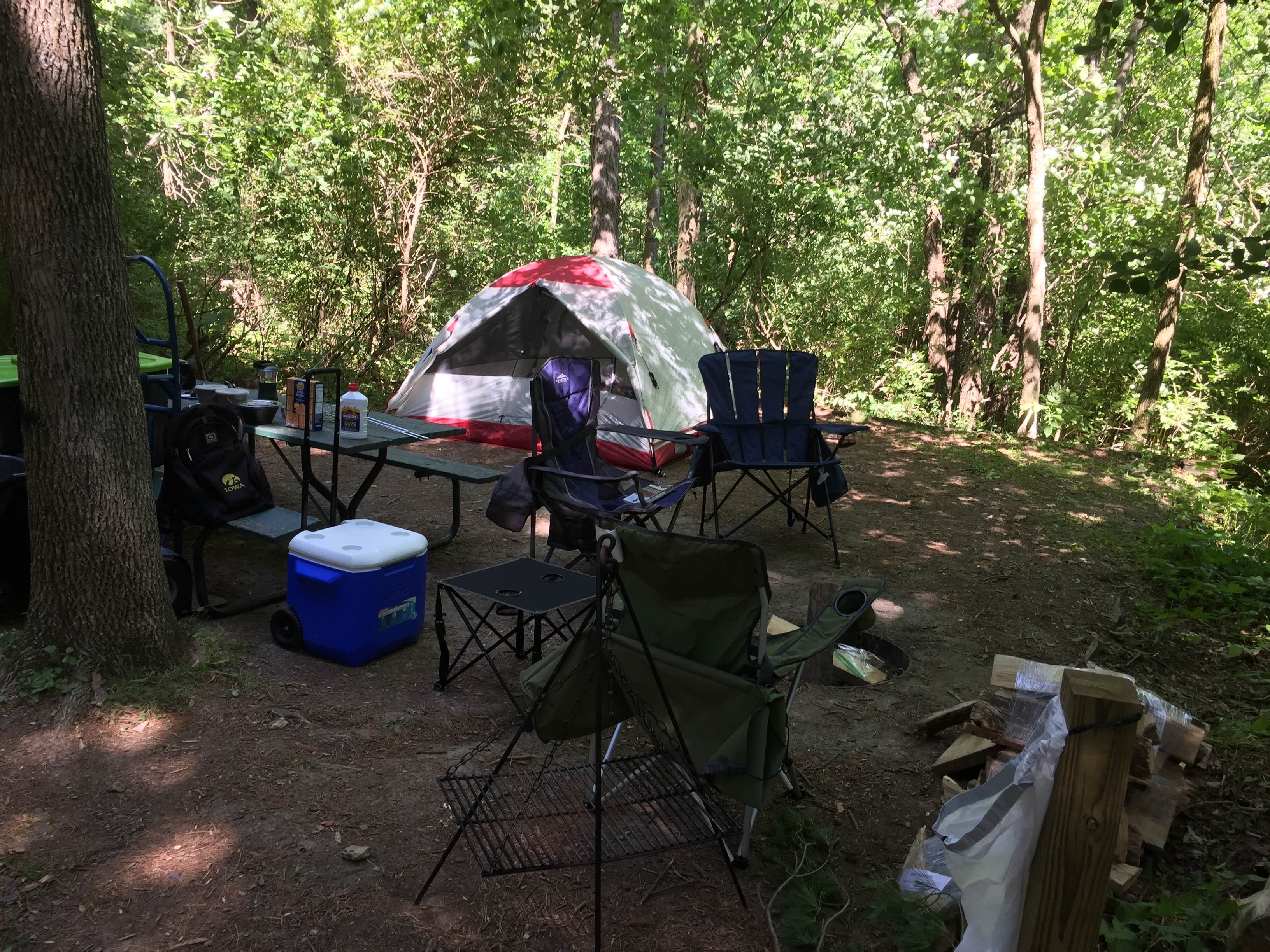 Camper submitted image from Macbride Nature Recreation Area - 1