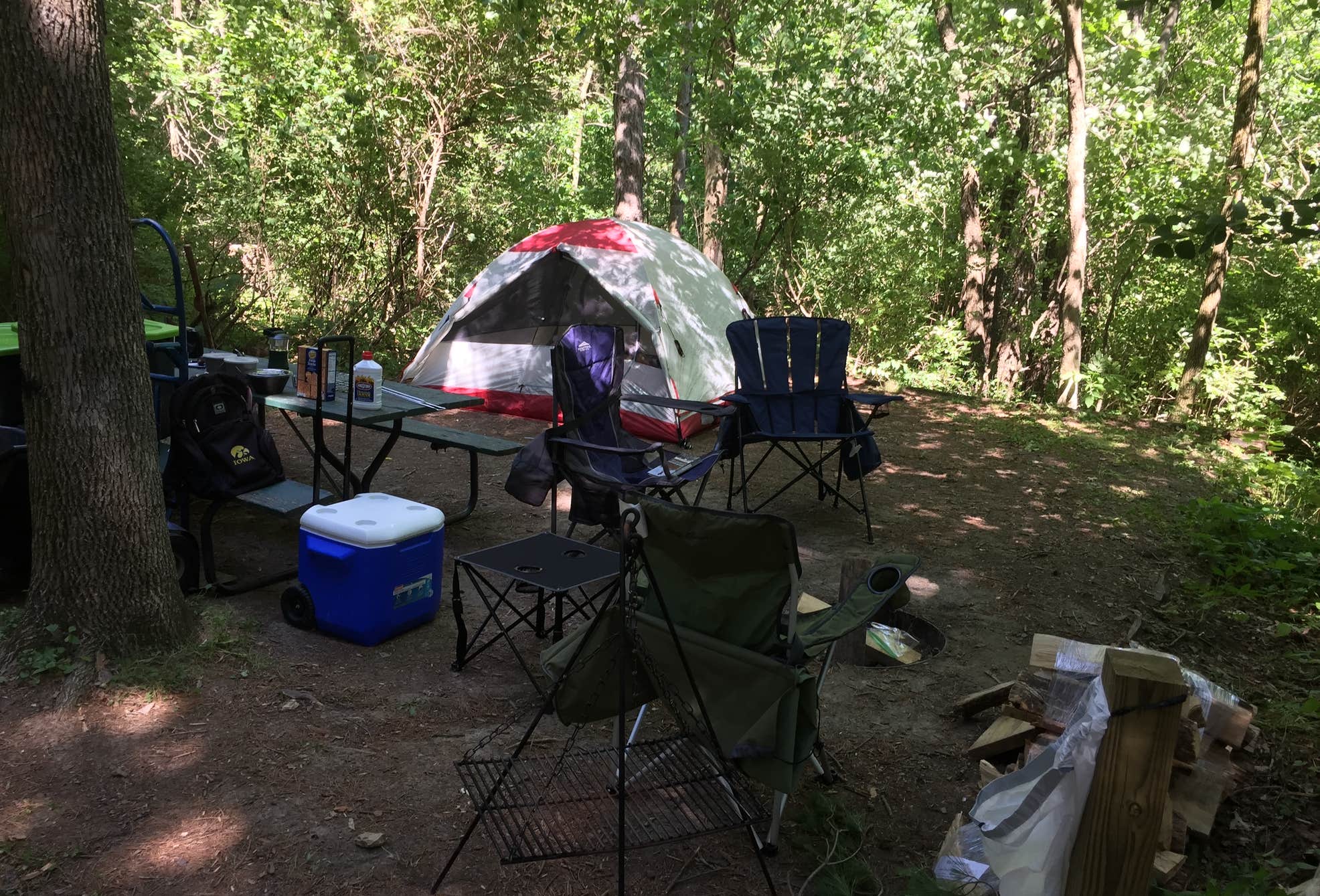 Macbride Raptor Center Iowa Macbride Nature Recreation Area Camping | Coralville Lake, Iowa