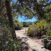 Review photo of Henderson Beach State Park Campground by Cathy J., May 12, 2022