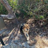 Review photo of Henderson Beach State Park Campground by Cathy J., May 12, 2022