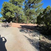 Review photo of Fool Hollow Lake Recreation Area Campground by Tiffany B., May 12, 2022