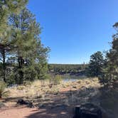 Review photo of Fool Hollow Lake Recreation Area Campground by Tiffany B., May 12, 2022