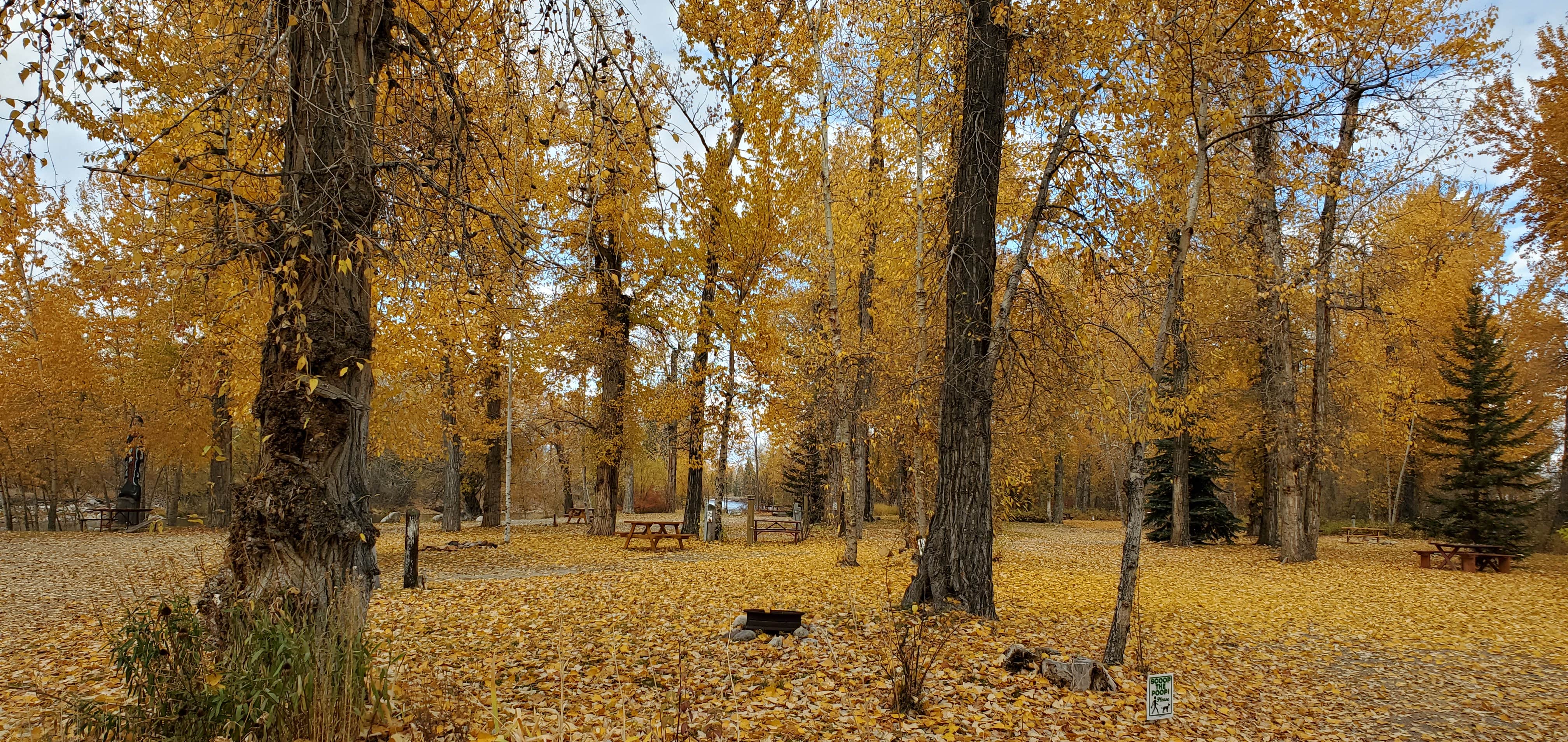 Camper-submitted photo at Anglers Roost Campground near Gibbonsville, ID
