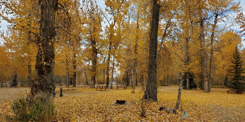 Camper submitted image from Anglers Roost Campground