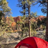 Review photo of Red Canyon Campground by Madison R., May 13, 2022