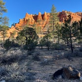 Review photo of Red Canyon Campground by Madison R., May 13, 2022