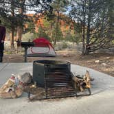 Review photo of Red Canyon Campground by Madison R., May 13, 2022