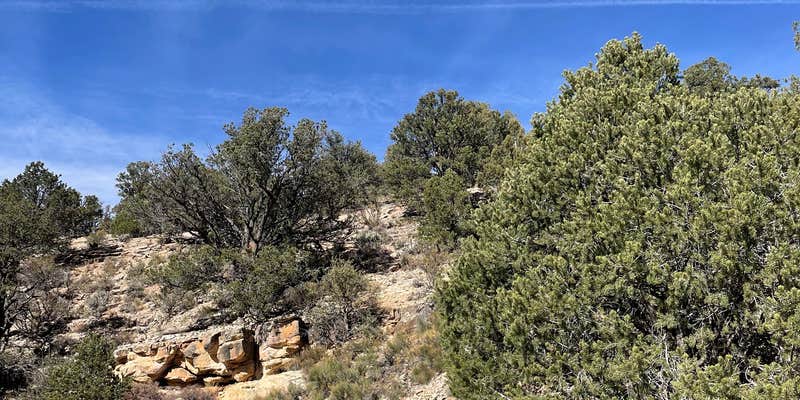 Camper submitted image from Indian Hollow Campground