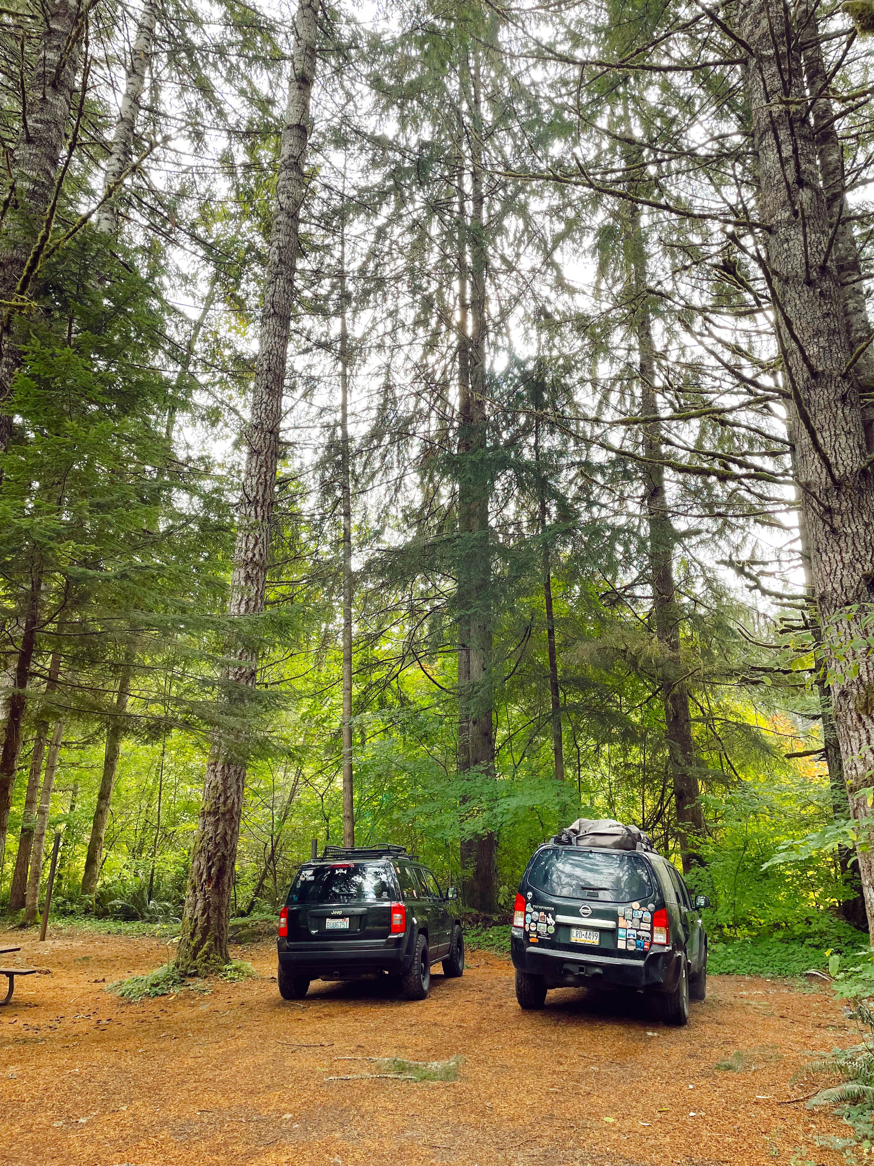 Camper-submitted photo at Sahara Creek DNR Horse Camp near Ashford, WA