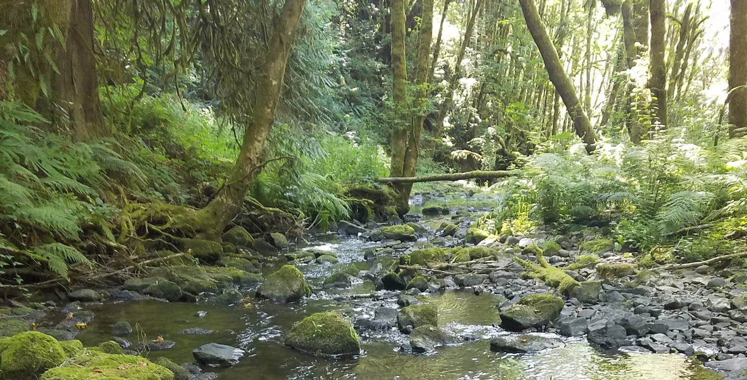 Camping near Camp Kalama RV Park: Aldered Estates, Kalama, Oregon