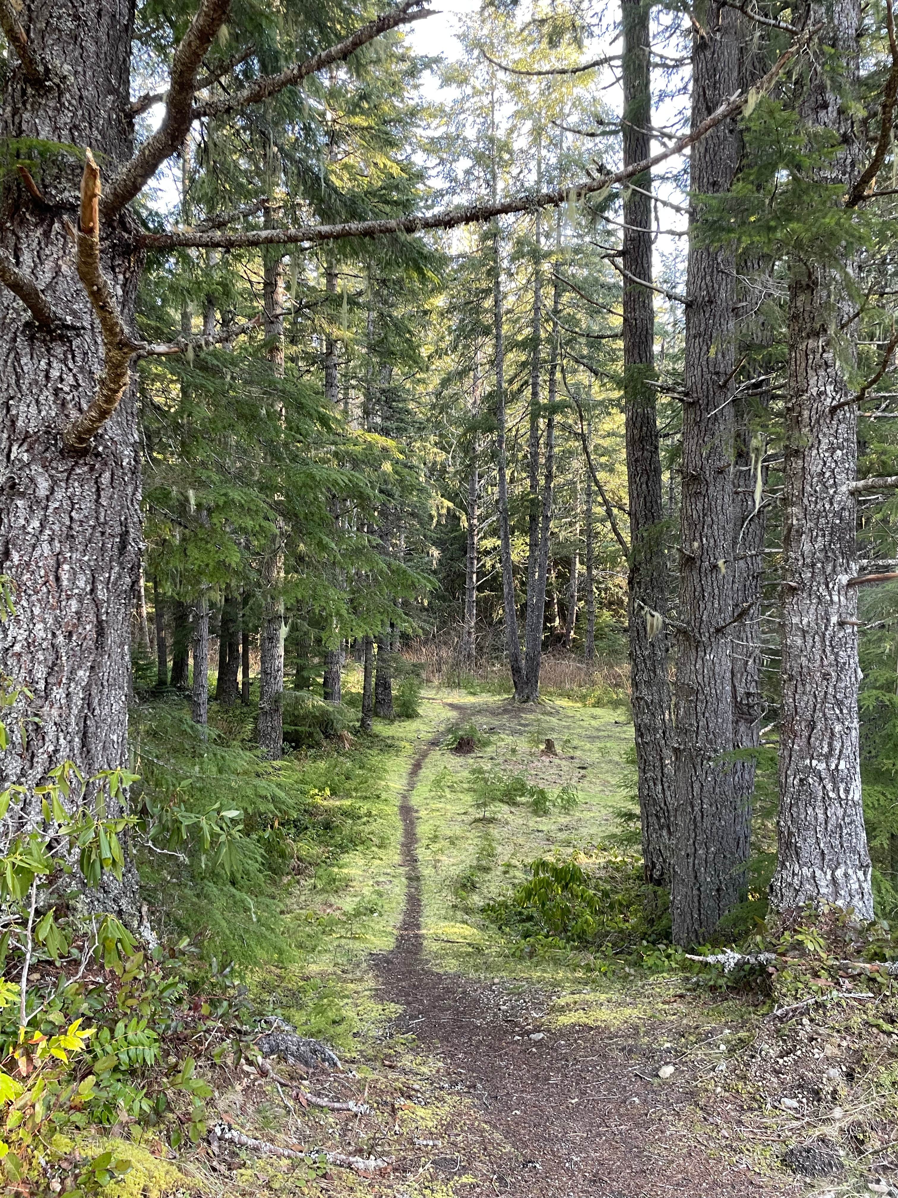 Camper-submitted photo at Slab Camp/Deer Ridge Trailhead near Port Townsend, WA