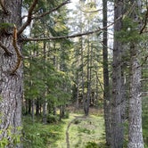 Review photo of Slab Camp/Deer Ridge Trailhead by Janae M., May 14, 2022