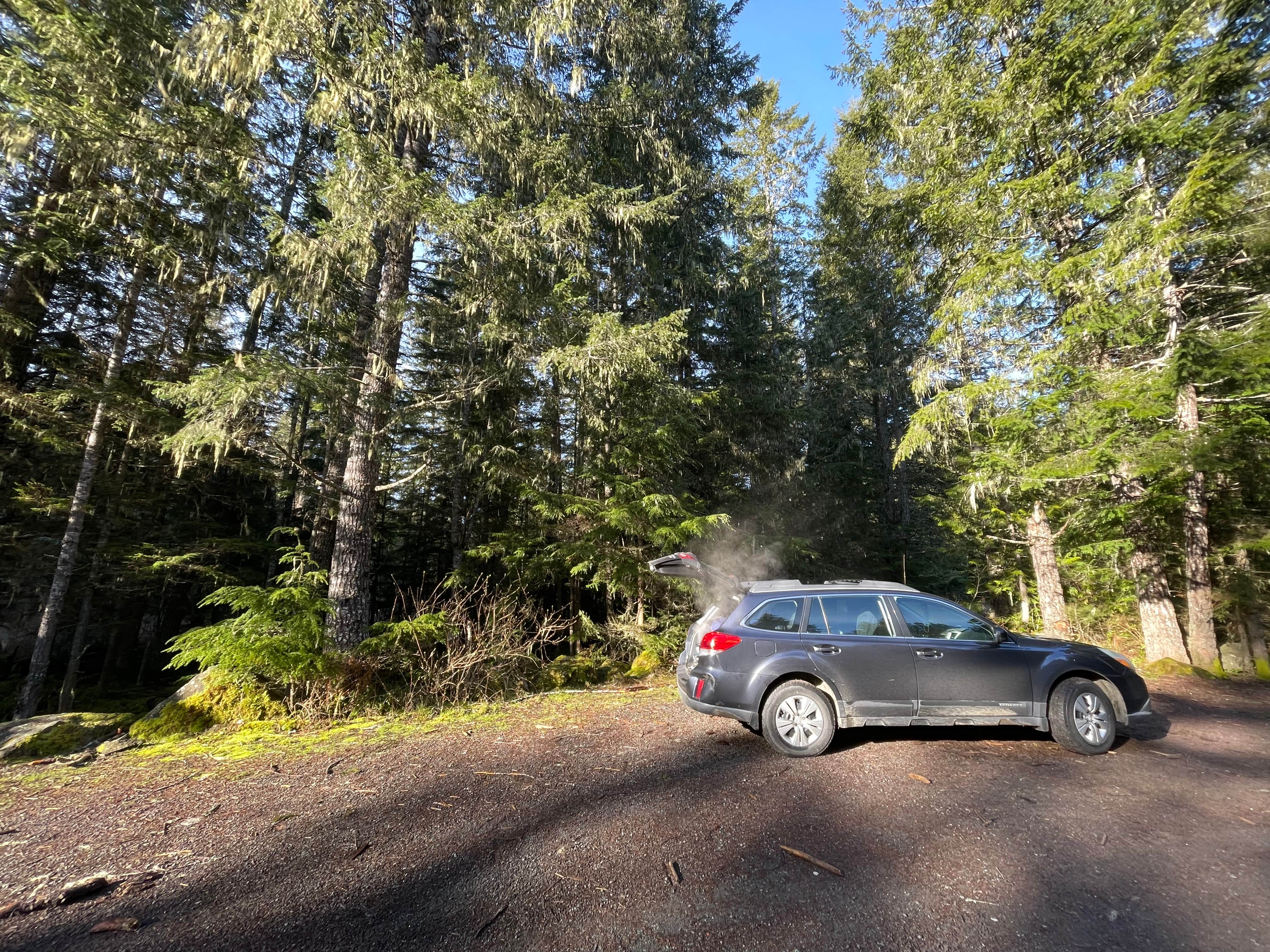 Camper submitted image from Slab Camp/Deer Ridge Trailhead - 3