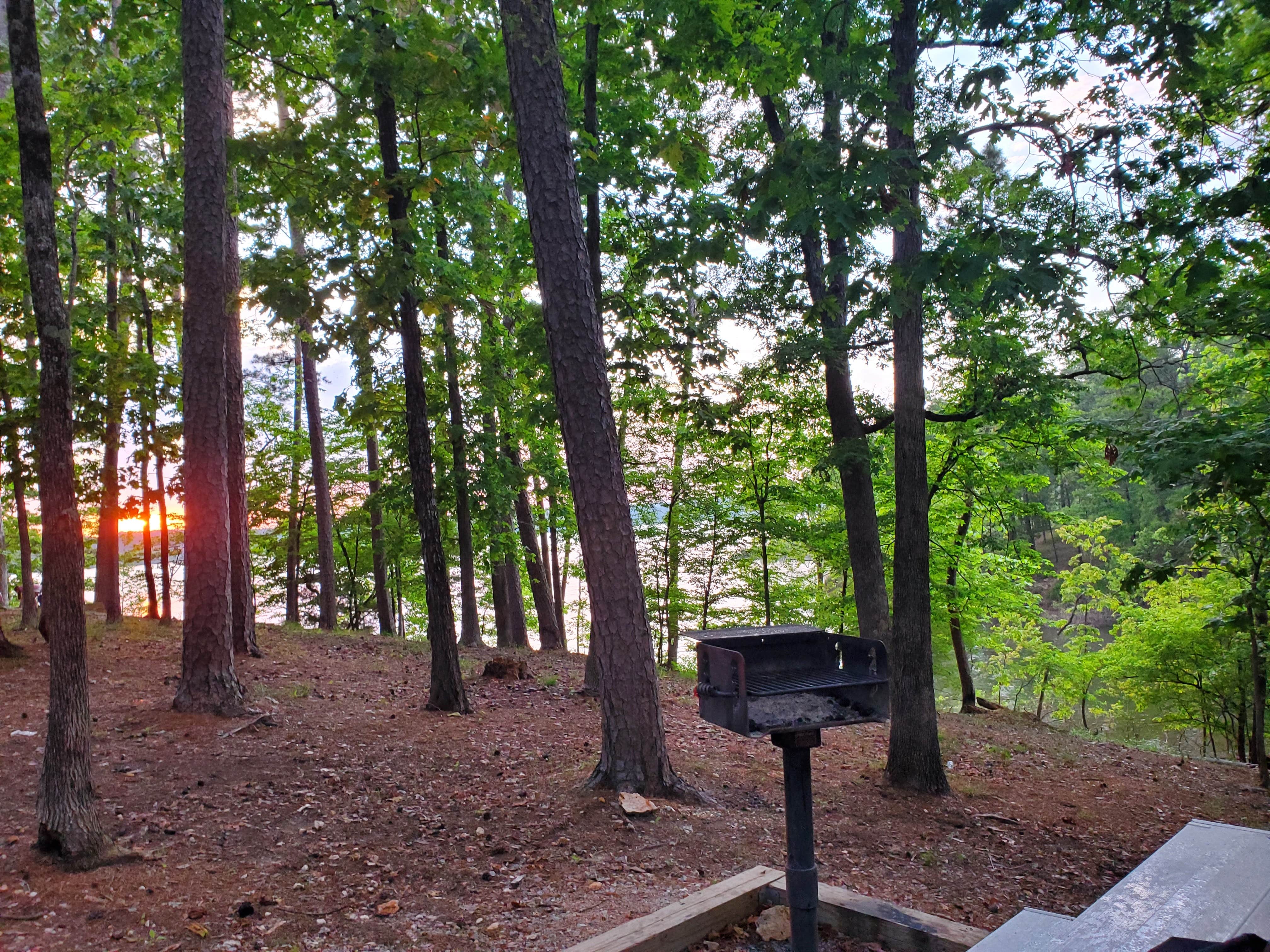 Camper-submitted photo at COE Lake Ouachita Joplin Campground near Mount Ida, AR