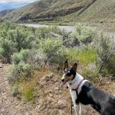 Review photo of Lone Tree Campground — Cottonwood Canyon State Park by Kelly H., May 14, 2022