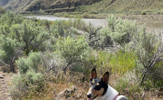 Kelly H.'s photo of camping with pets at Lone Tree Campground — Cottonwood Canyon State Park near Mikkalo, OR