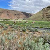 Review photo of Lone Tree Campground — Cottonwood Canyon State Park by Kelly H., May 14, 2022