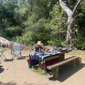 Review photo of Pfeiffer Big Sur State Park Campground by Matt R., May 14, 2022