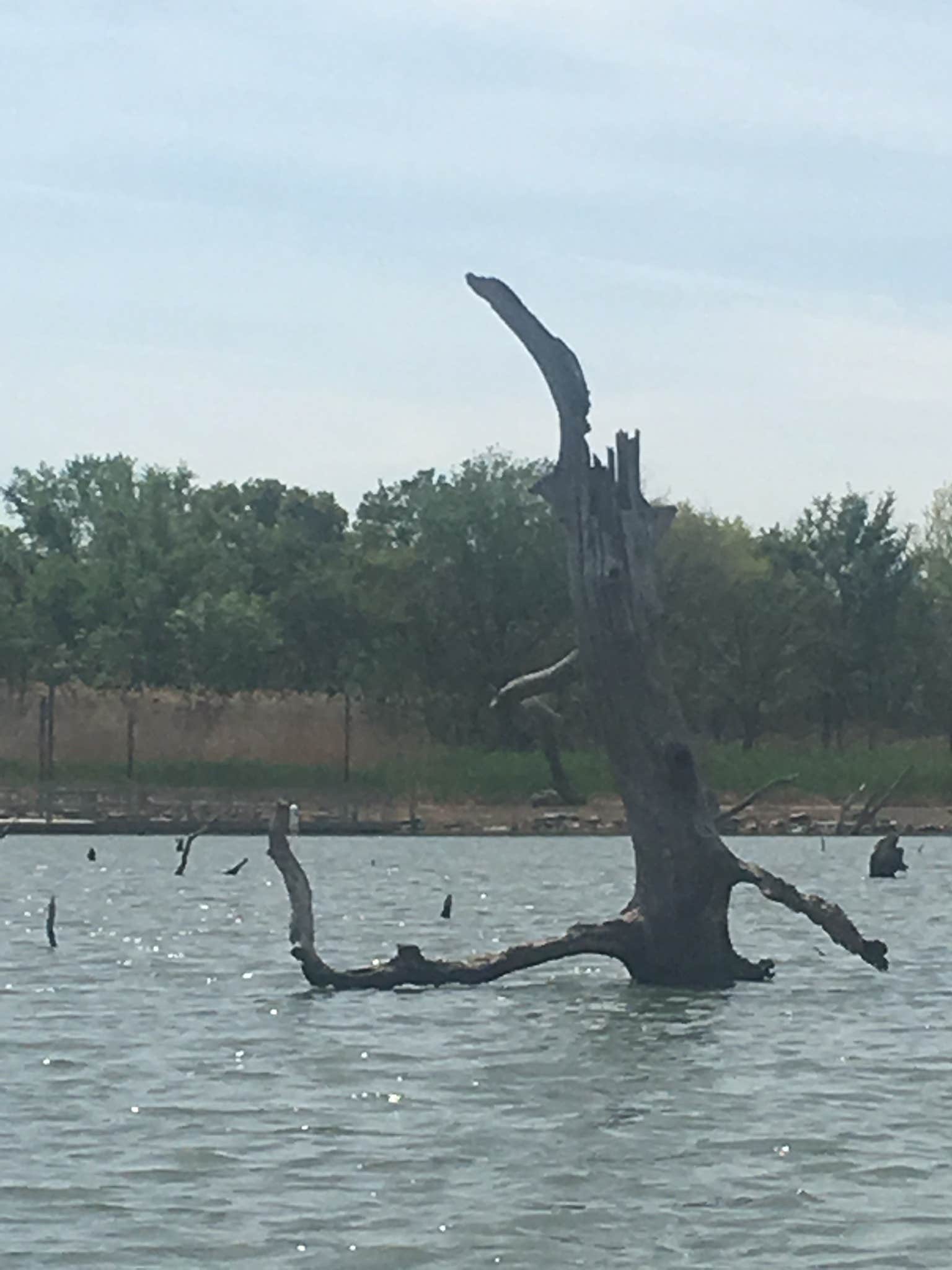 Camper-submitted photo at Okmulgee near Okmulgee, OK