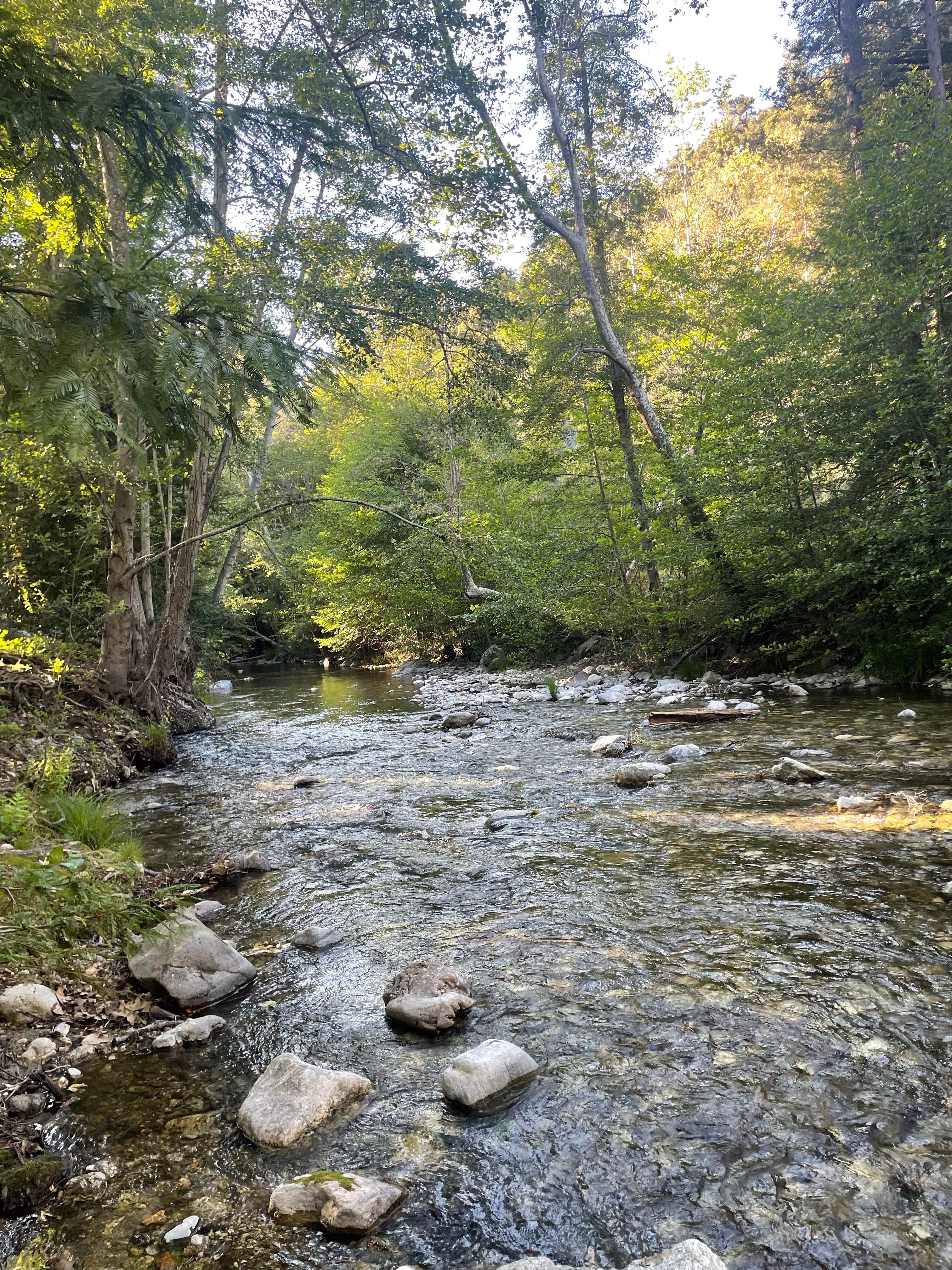 Camper-submitted photo at Pfeiffer Big Sur State Park Campground in California